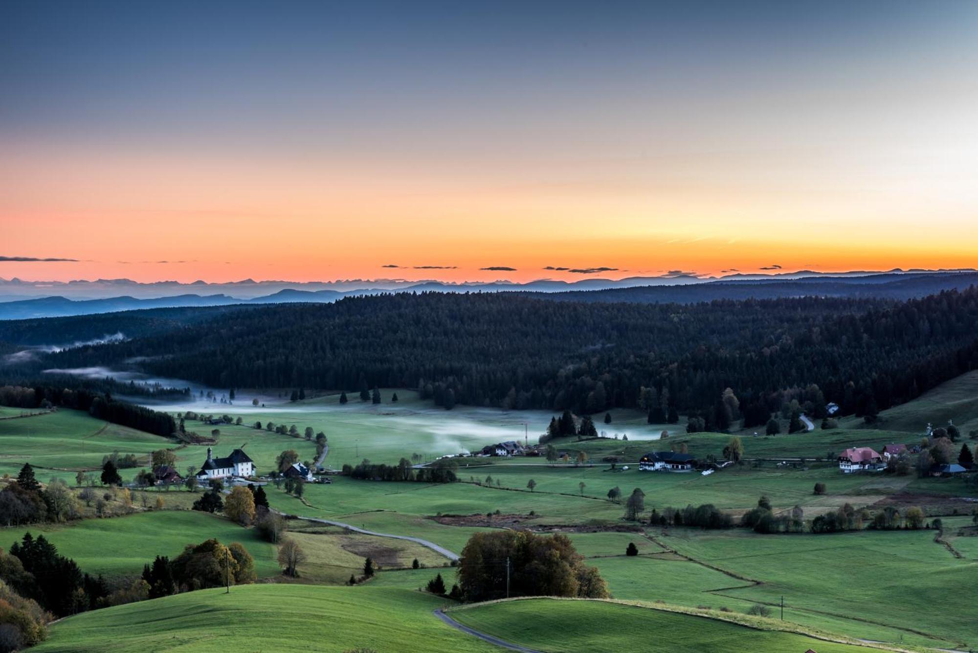 Apartment 06 - Ferienresidenz Roseneck, 2 Schlafzimmer, Mit Schwimmbad In Todtnauberg Bei Feldberg Exteriör bild