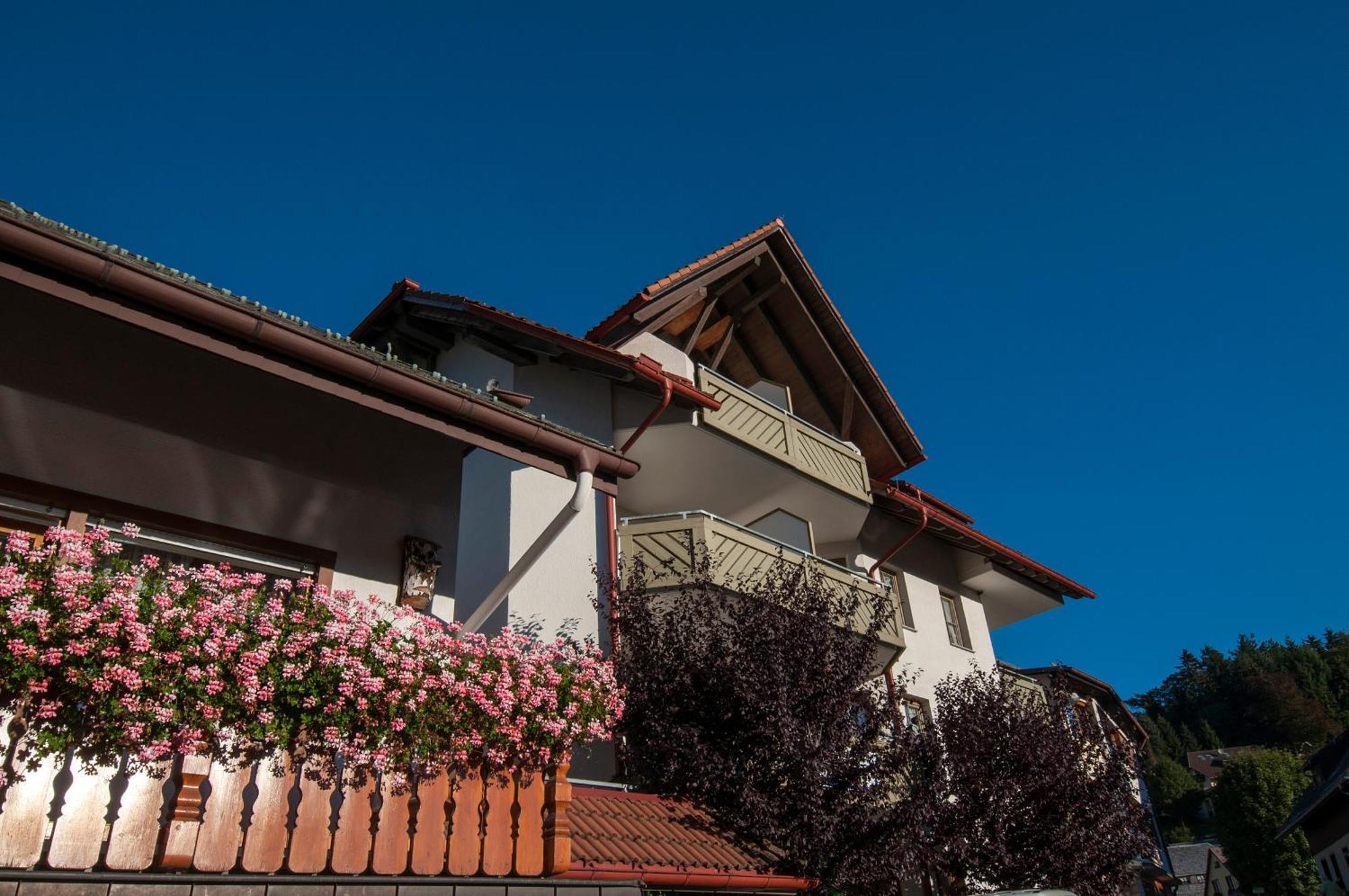 Apartment 06 - Ferienresidenz Roseneck, 2 Schlafzimmer, Mit Schwimmbad In Todtnauberg Bei Feldberg Exteriör bild