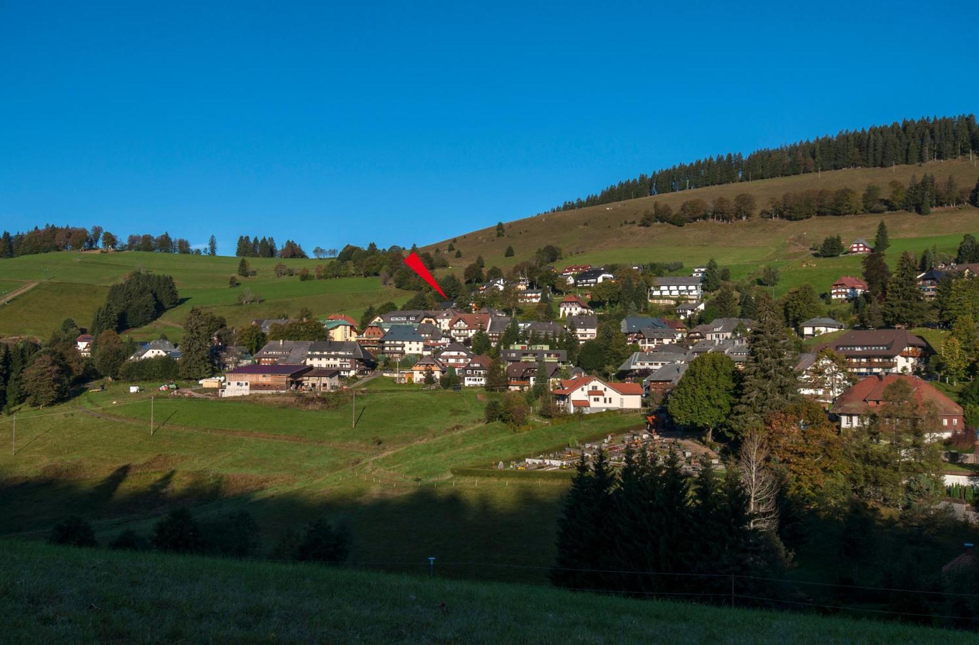 Apartment 06 - Ferienresidenz Roseneck, 2 Schlafzimmer, Mit Schwimmbad In Todtnauberg Bei Feldberg Exteriör bild