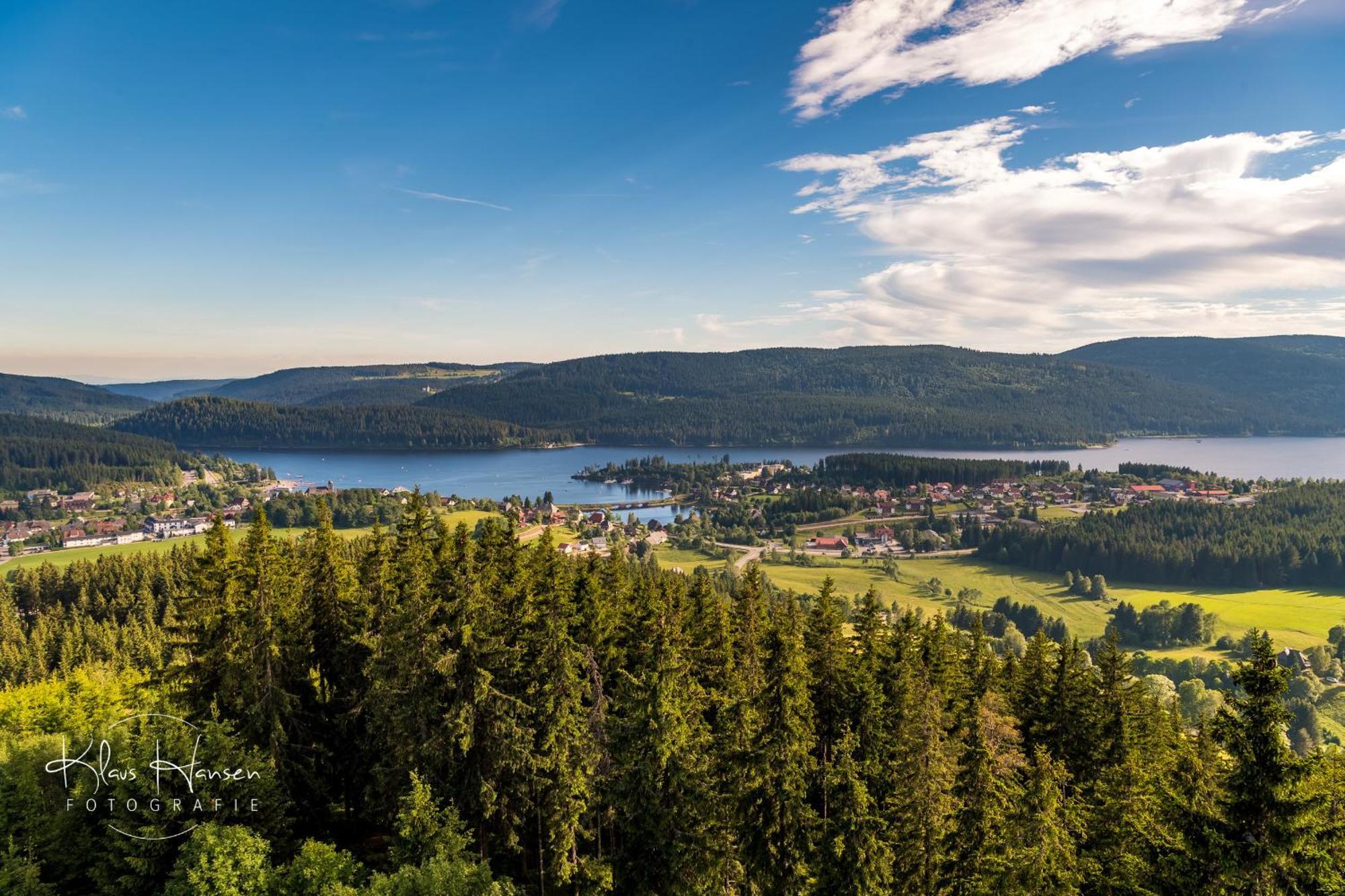 Apartment 06 - Ferienresidenz Roseneck, 2 Schlafzimmer, Mit Schwimmbad In Todtnauberg Bei Feldberg Exteriör bild